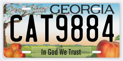 GA license plate CAT9884