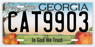 GA license plate CAT9903