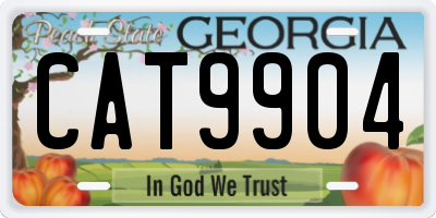 GA license plate CAT9904