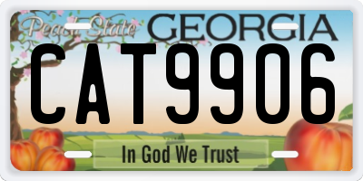 GA license plate CAT9906