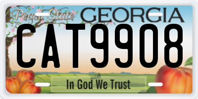 GA license plate CAT9908