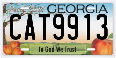 GA license plate CAT9913