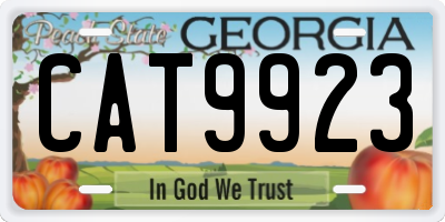 GA license plate CAT9923