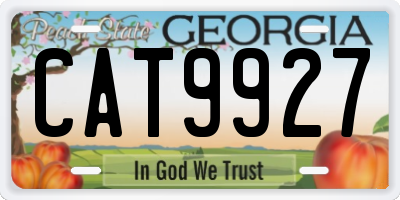 GA license plate CAT9927