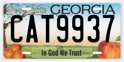 GA license plate CAT9937