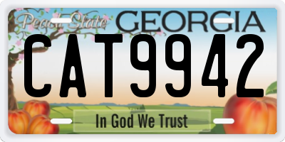 GA license plate CAT9942