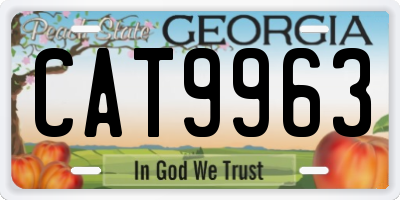 GA license plate CAT9963
