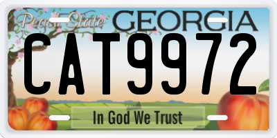GA license plate CAT9972
