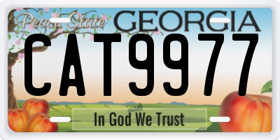 GA license plate CAT9977