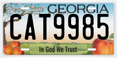 GA license plate CAT9985