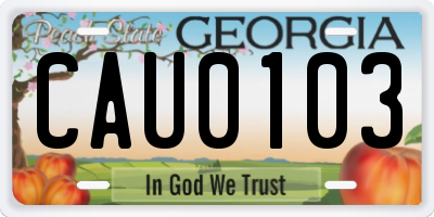 GA license plate CAU0103