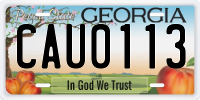 GA license plate CAU0113