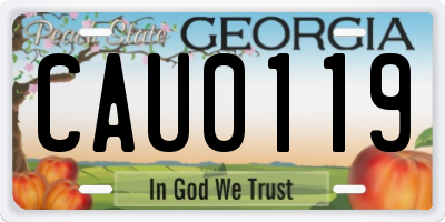GA license plate CAU0119