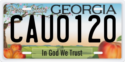 GA license plate CAU0120