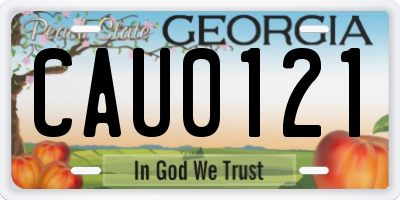 GA license plate CAU0121
