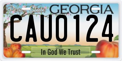 GA license plate CAU0124