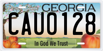 GA license plate CAU0128