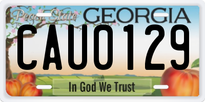GA license plate CAU0129