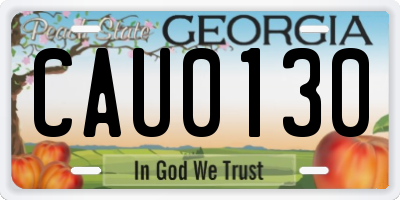 GA license plate CAU0130