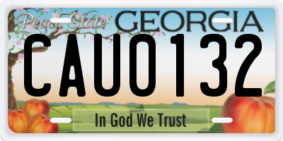 GA license plate CAU0132