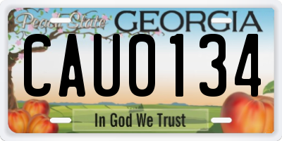 GA license plate CAU0134