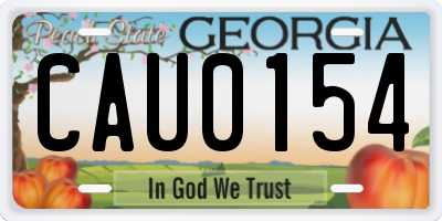 GA license plate CAU0154