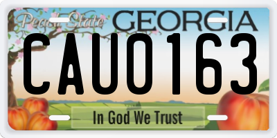 GA license plate CAU0163
