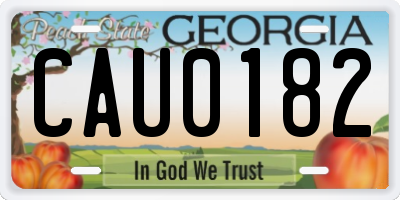 GA license plate CAU0182