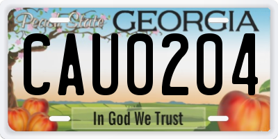 GA license plate CAU0204