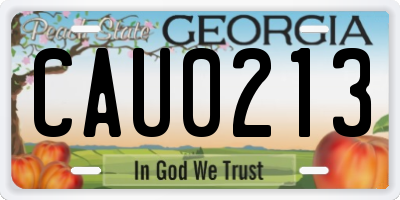 GA license plate CAU0213