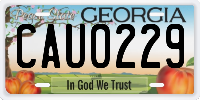 GA license plate CAU0229
