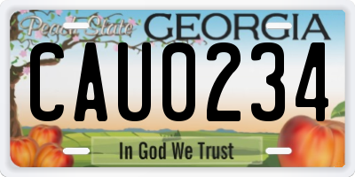 GA license plate CAU0234