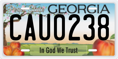 GA license plate CAU0238