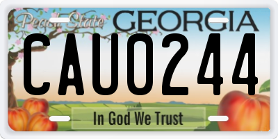 GA license plate CAU0244