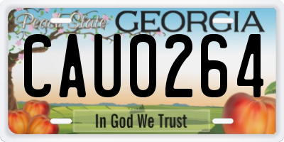 GA license plate CAU0264