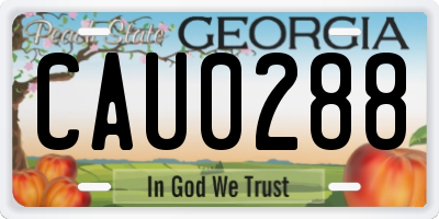 GA license plate CAU0288