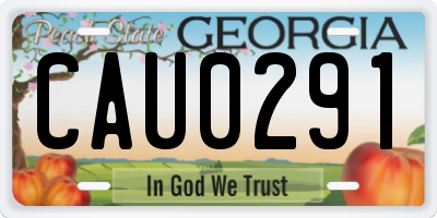 GA license plate CAU0291
