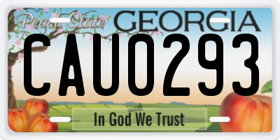 GA license plate CAU0293