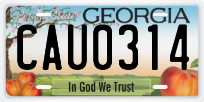 GA license plate CAU0314
