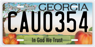 GA license plate CAU0354