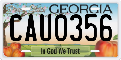 GA license plate CAU0356