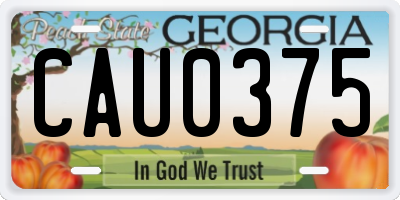 GA license plate CAU0375