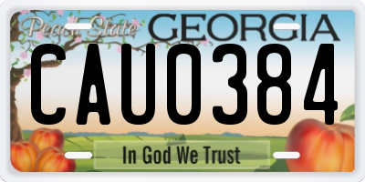 GA license plate CAU0384