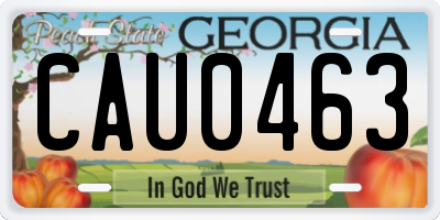 GA license plate CAU0463