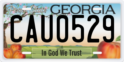 GA license plate CAU0529