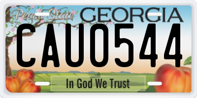 GA license plate CAU0544