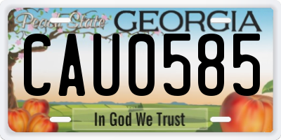 GA license plate CAU0585