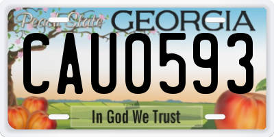 GA license plate CAU0593