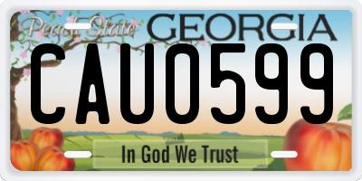 GA license plate CAU0599