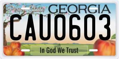 GA license plate CAU0603